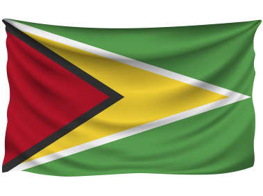 Guyana Wrinkled Flag