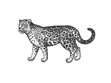Jaguar Logo PNG Transparent Logo - Freepngdesign.com