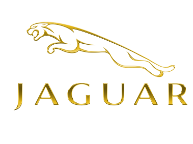 Jaguar Metallic Golden Logo