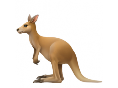 Kangaroo Emoji