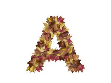 Letter A from Dry Leaves