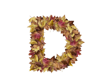 Letter D from Dry Leaves