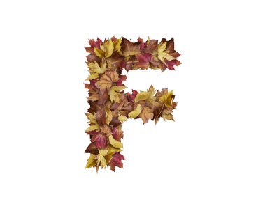 Letter F from Dry Leaves