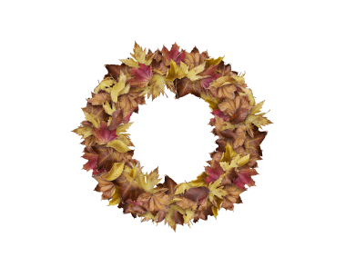 Letter O from Dry Leaves