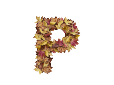 Letter P from Dry Leaves