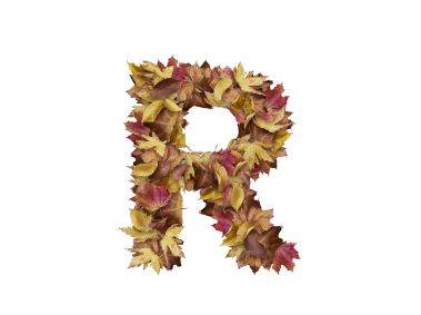 Letter R from Dry Leaves