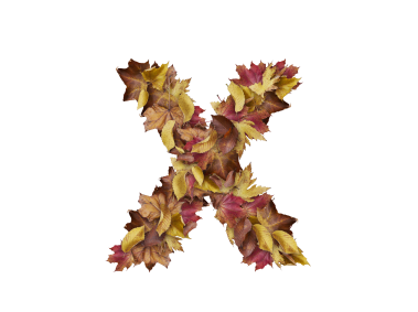 Letter X from Dry Leaves