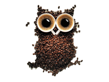 Owl from Coffee