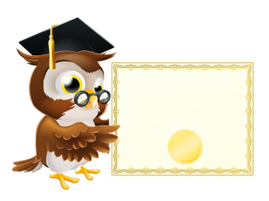Owl with School Diploma