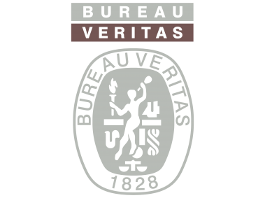 Bureau Veritas 996 Logo