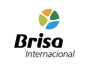 Brisa Internacional   Logo
