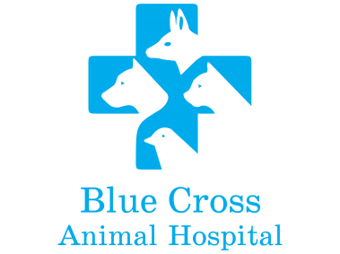 Blue Cross Animal Hospital Logo