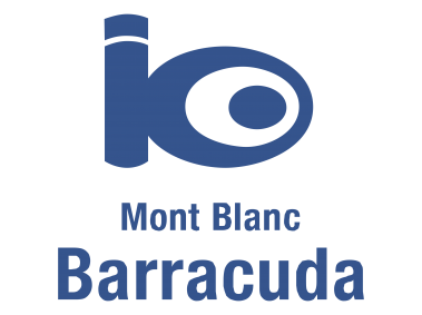 Barracuda   Logo
