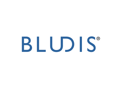 Bludis   Logo