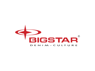 BigStar   Logo