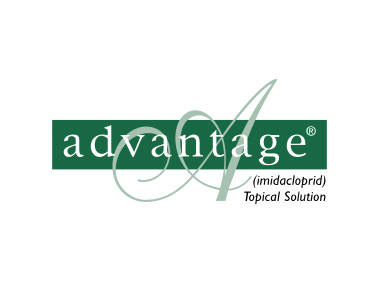 Advantage   Logo