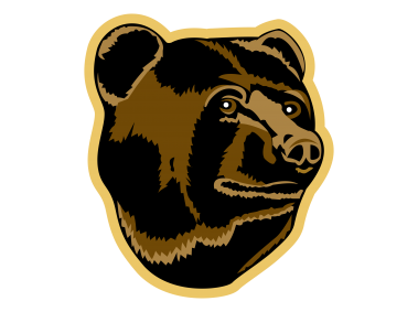 Boston Bruins   Logo