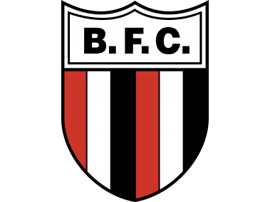 botafogo fc Logo
