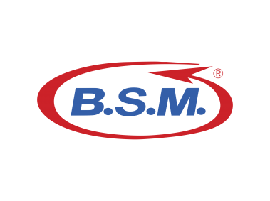 BSM   Logo