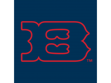 Boise Hawks   Logo