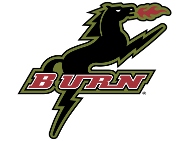 BURN Logo