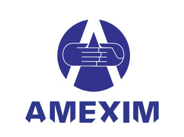 Amexim   Logo