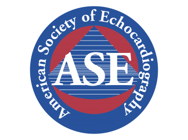 ASE   Logo