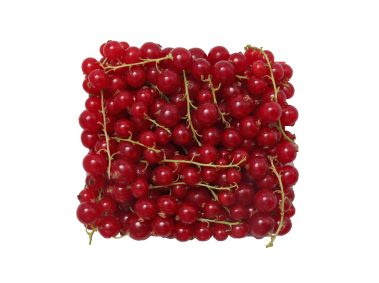 Pack of Currants
