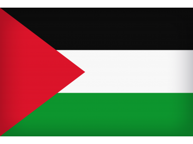 Palestine Large Flag