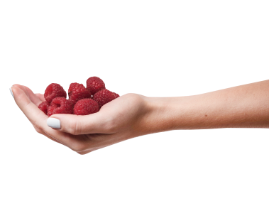 Raspberries in Hand