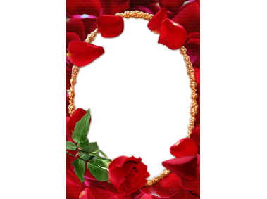 Red Rose Photo Frame