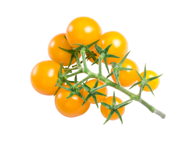 Yellow Cherry Tomatoes