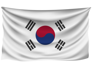 South Korea Wrinkled Flag