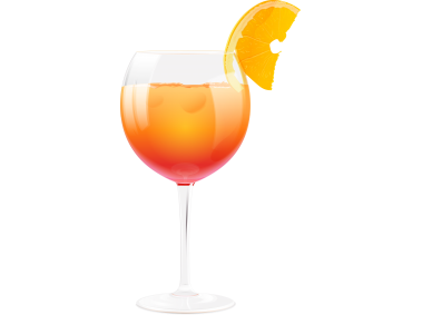Summer Coctail with Orange