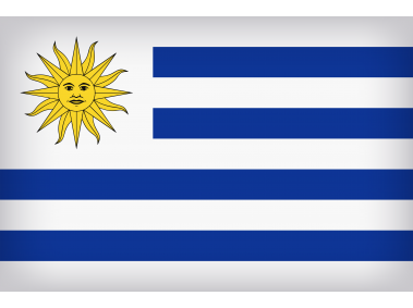 Uruguay Large Flag