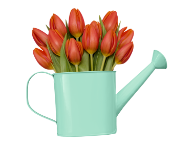 Watering Bucket and Tulips