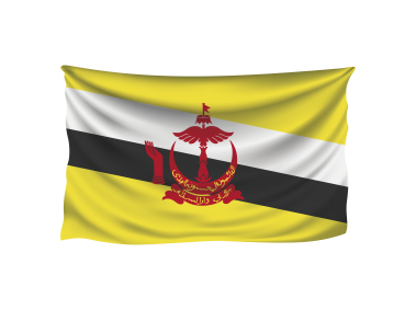 Wavy Brunei Flag