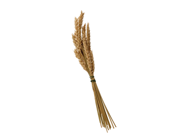 Wheat Bundle