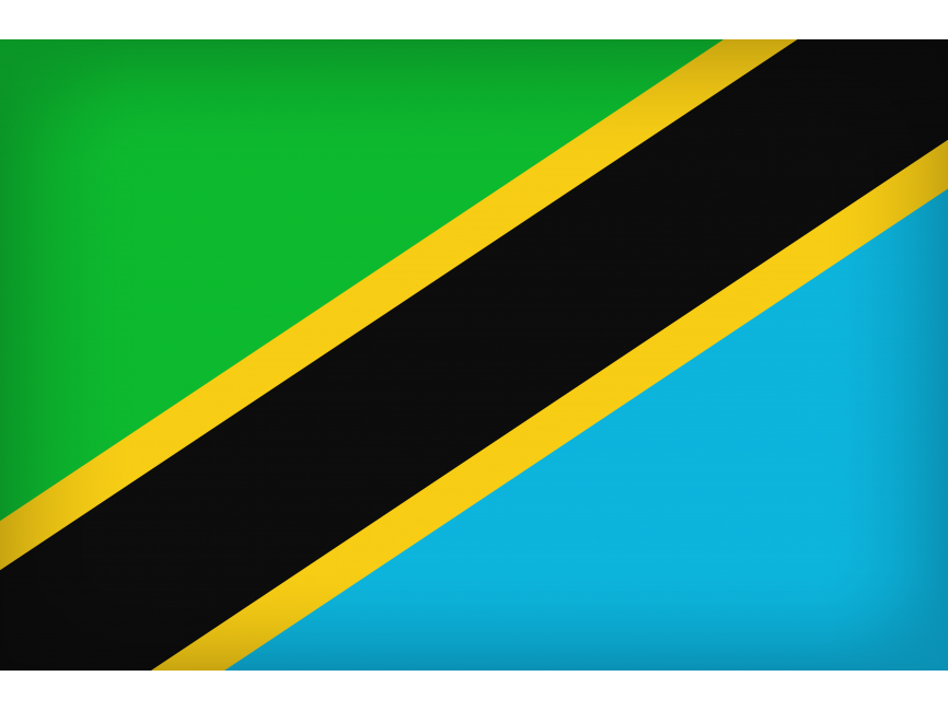Tanzania Large Flag