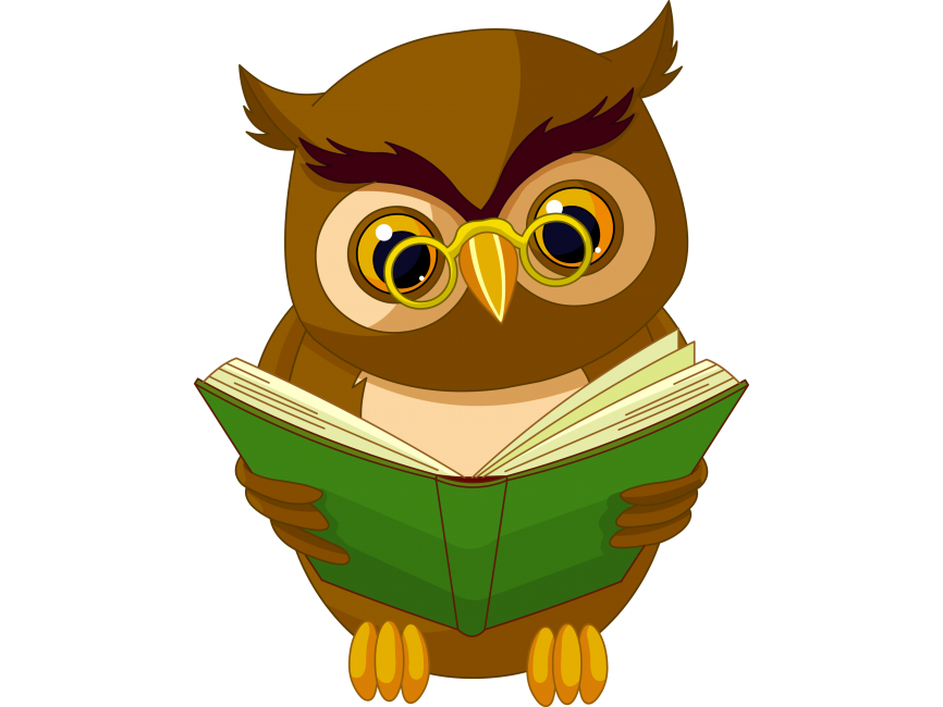 Transparent Owl with Book