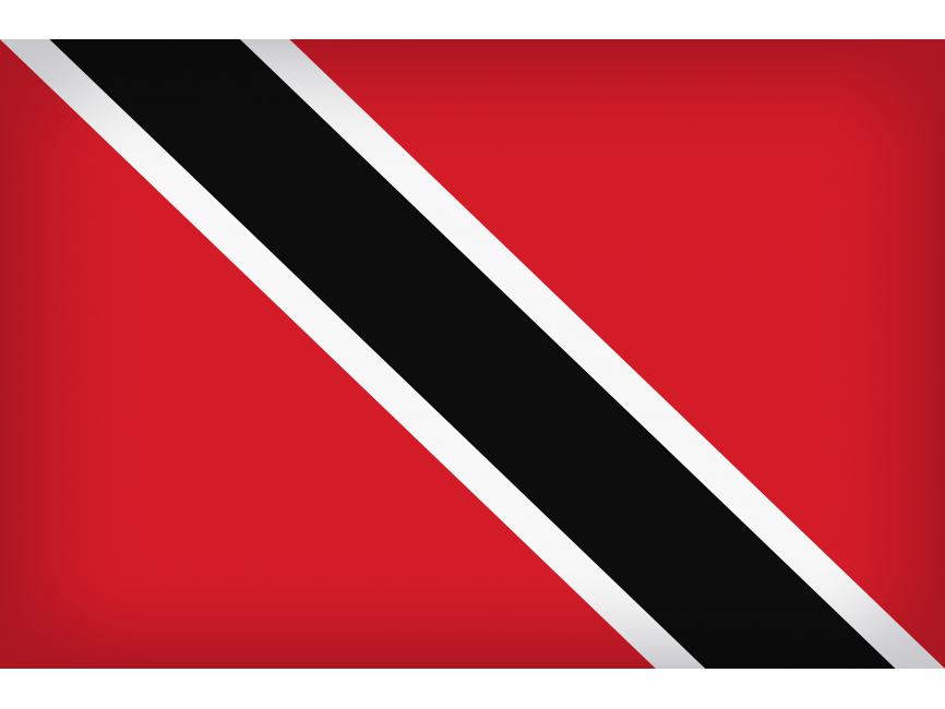 Trinidad and Tobago Large Flag