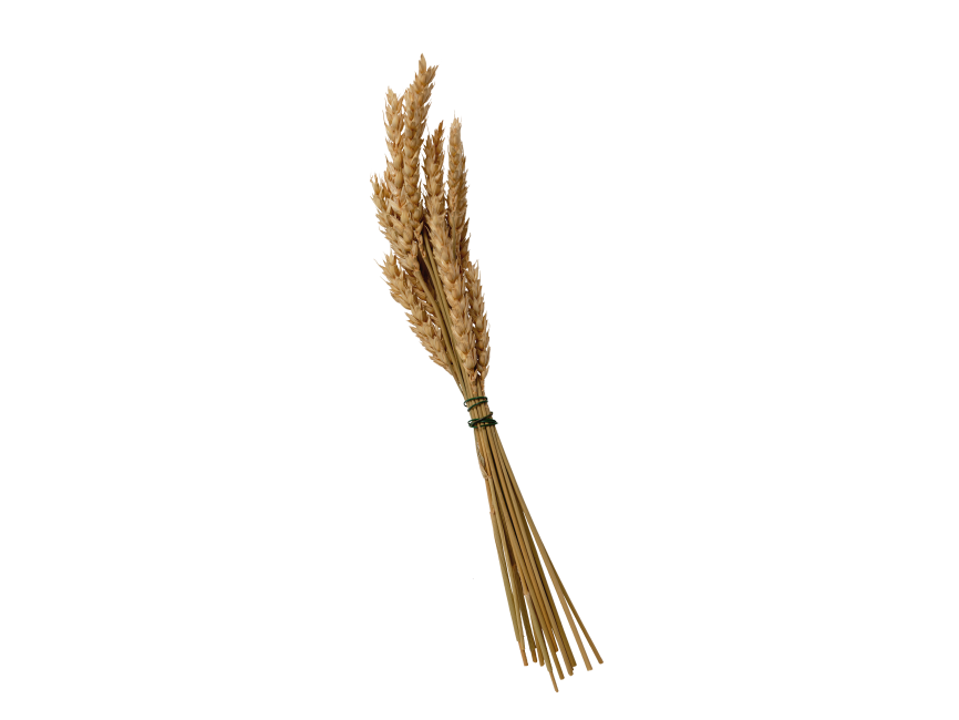 Wheat Bundle