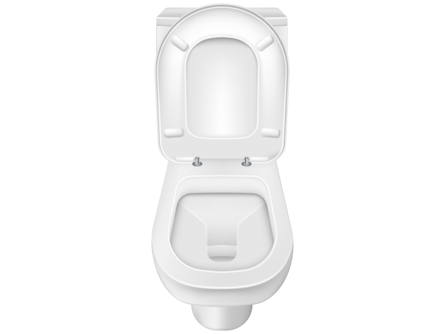 White Toilet Seat